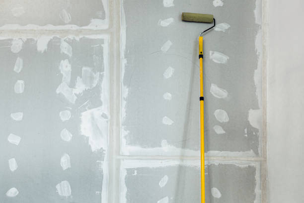 Best Drywall Sanding and Smoothing  in Kootenai, ID